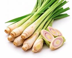 Category Image for Category Garlic Liquid