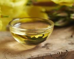 Category Image for Category Nutritional Oil Softgels